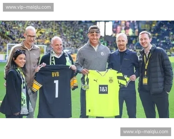 德甲训练视频：从球场到日常训练的真实秘笈